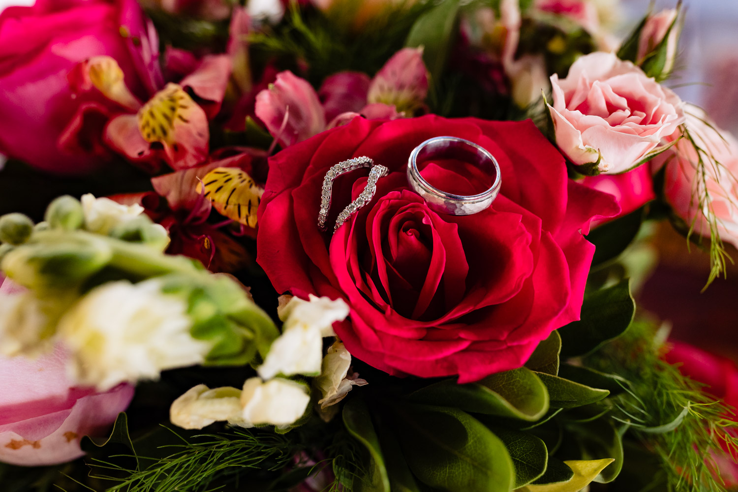 Wedding Rings Isla Mujeres
