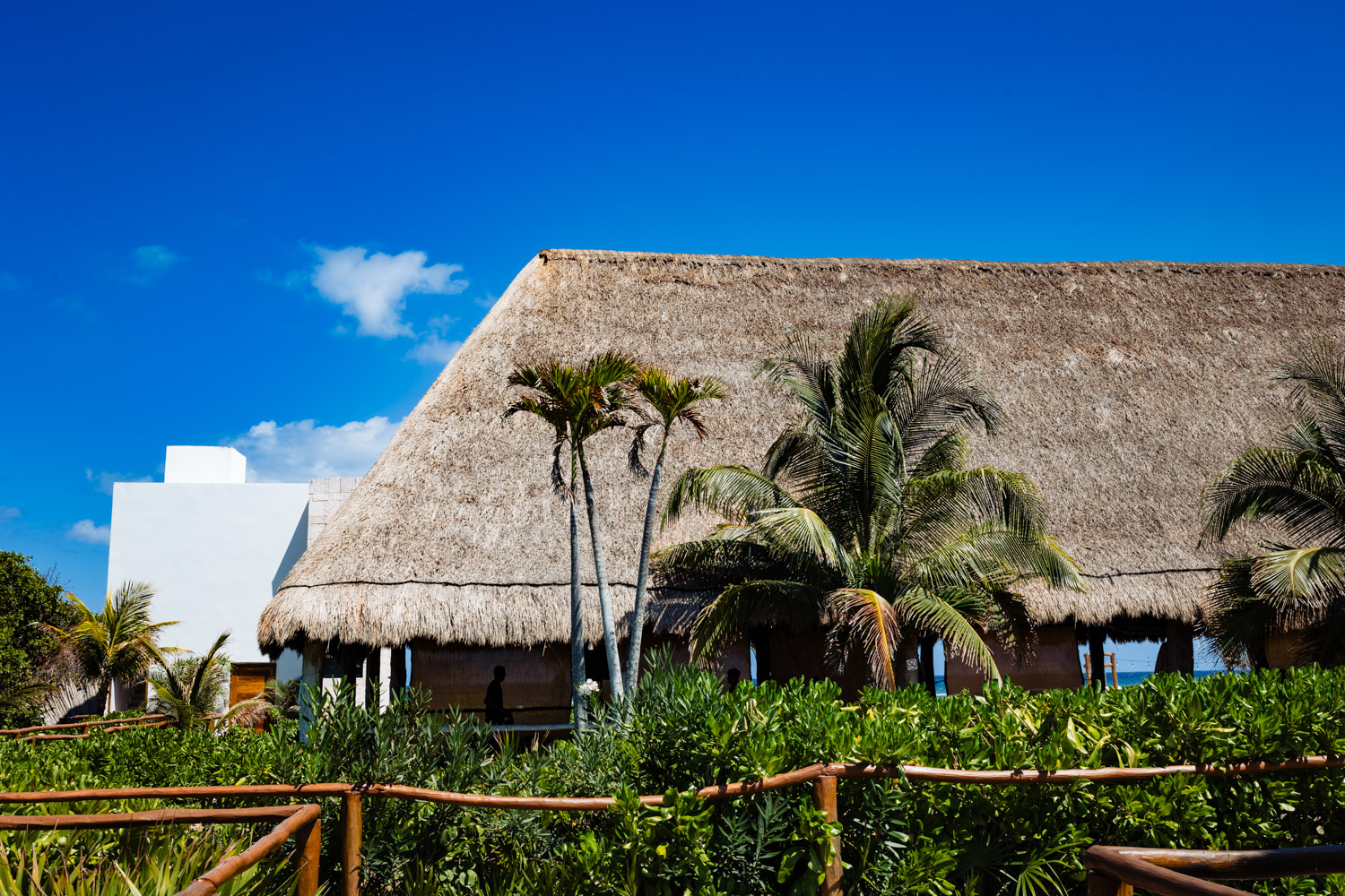 Blue Venado Sea Side Venue front view