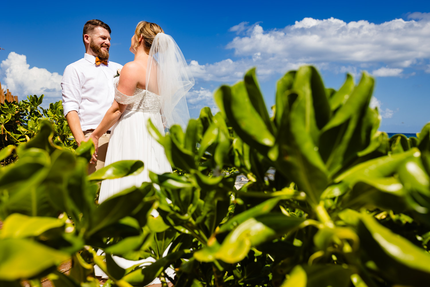 Blue Venado Wedding Photographer