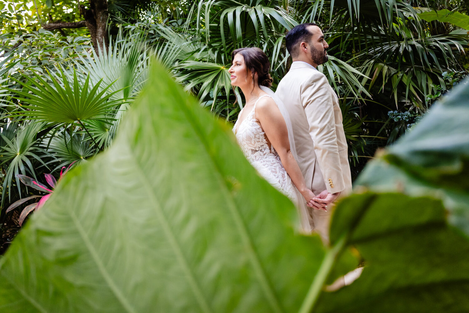 Akumal greenery photos