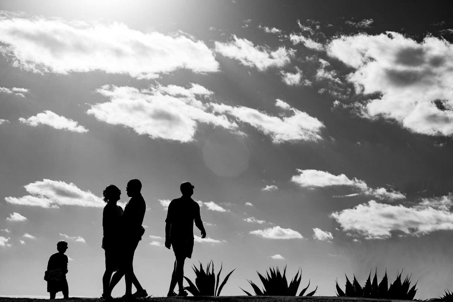 Same Sex Proposal Photographer Isla Mujeres